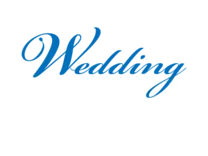 Wedding Crashers logo wit - 801 Bookings