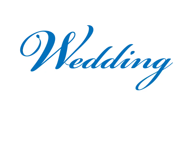 Wedding Crashers logo wit - 801 Bookings