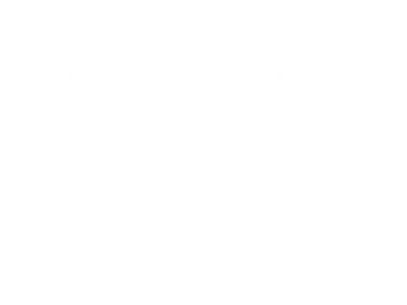 Logo Born in Ibiza 801 Bookings